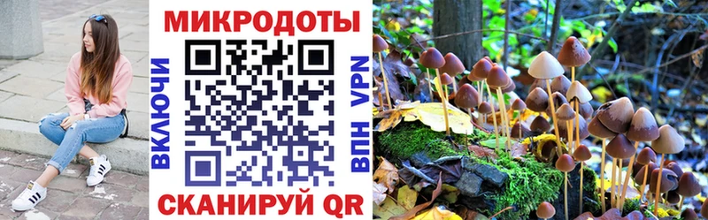 Галлюциногенные грибы прущие грибы Вилюйск